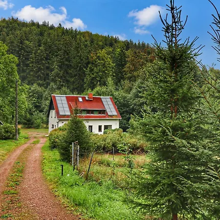 Hochwertige In Baerenstein *
