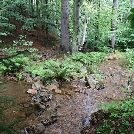 Hochwertige In Baerenstein Altenberg