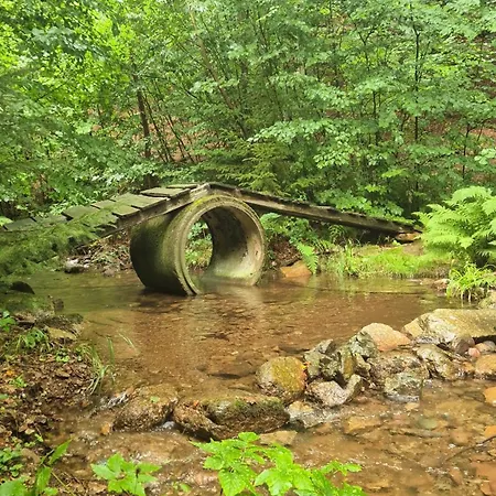 Hochwertige In Baerenstein Altenberg